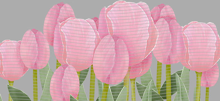 16oz Element-EN-1153